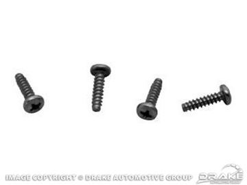 Picture of Back Up Lamp Screws : 380438-S