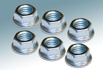 Picture of 1967-73 Shock Tower Nuts : 33791-SK